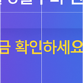 공연 전시 할인권
