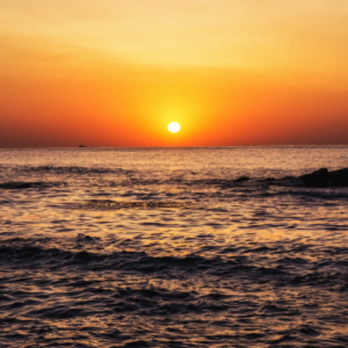 2025년 새해 일출 명소