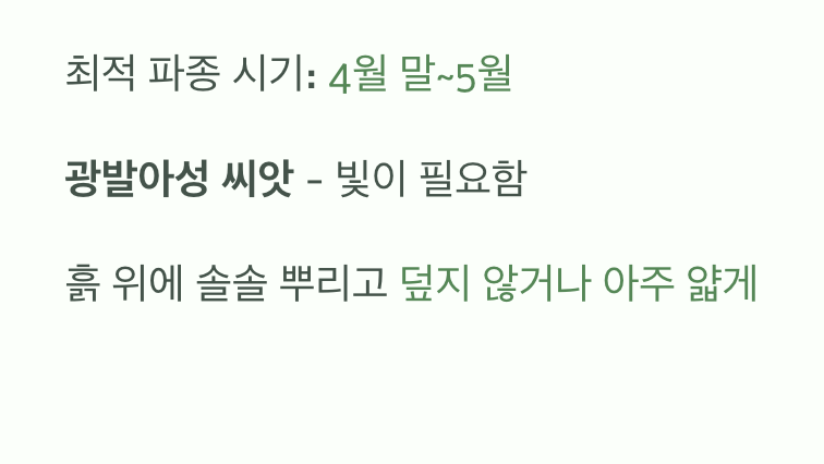먼지 같은 씨앗&amp;#44; 태양을 향한 첫걸음