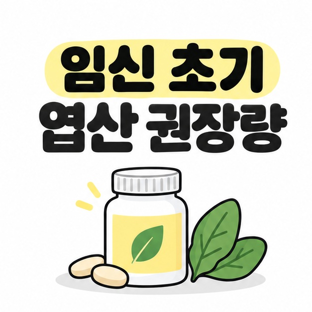 임신 초기 엽산 권장량이라는 제목과 영양제 병, 잎 모양을 배치한 대표 이미지