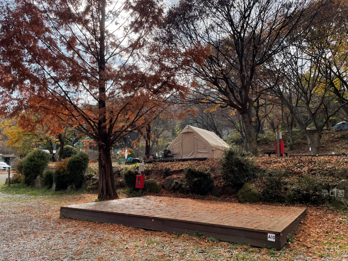 경기도-양주-새로-오픈한-봄이오는캠프-사이트별-사진-및-특징-정리(가족캠핑-2박후기)