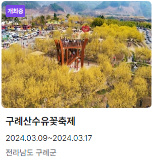 구례산수유축제