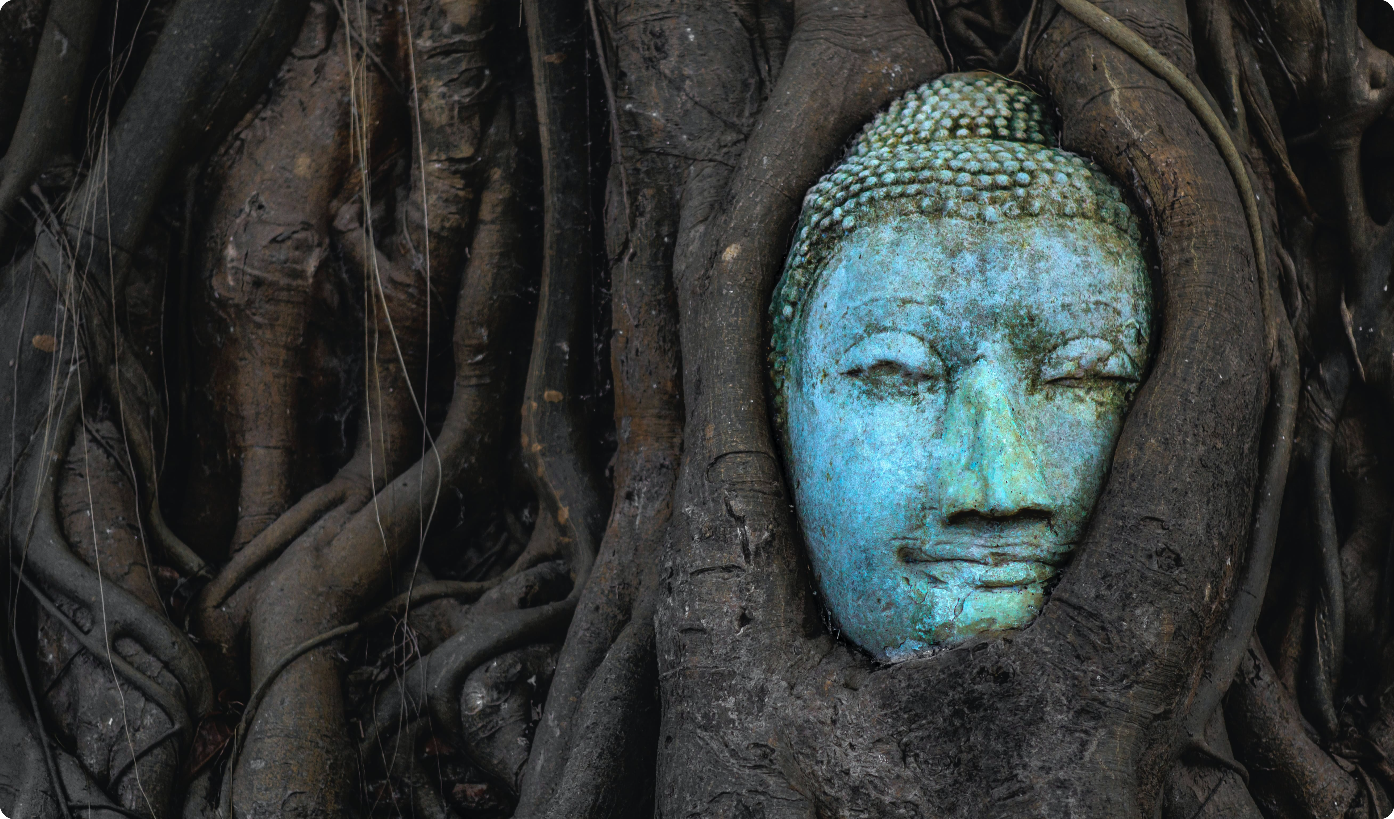 Buddha statue in the tree