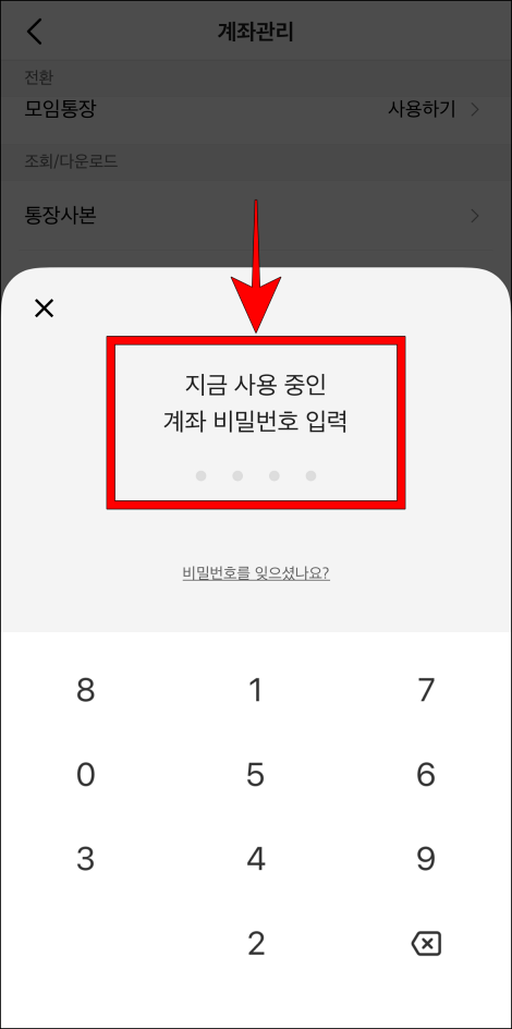 지금 사용 중인 계좌 비밀번호를 입력