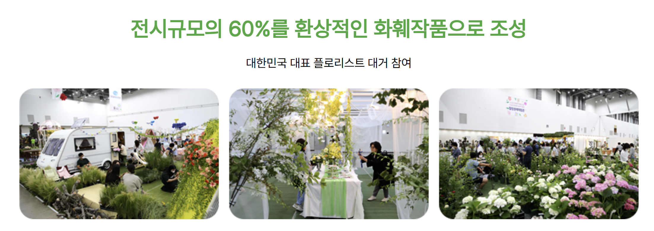 2025 대구꽃박람회