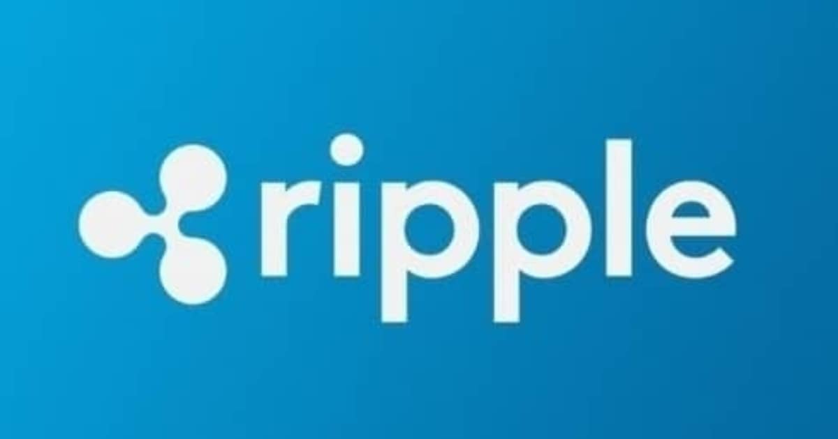 리플 썸네일 이미지