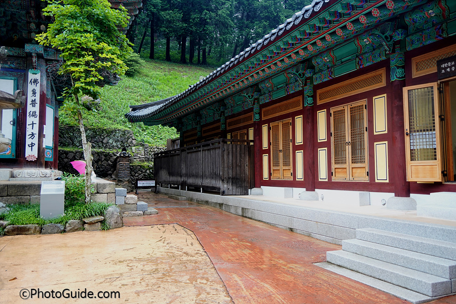 공주-동학사
