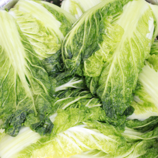 이마트 절임배추 사전예약 활용 팁1