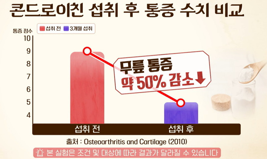 콘드로이친 효능