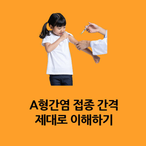 A형간염 접종 간격 제대로 이해하기