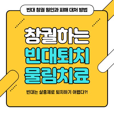 빈대 퇴치 및 빈대 물린자국 치료 방법