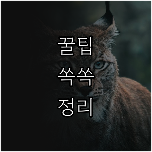 금천구 어르신 2025 장수축하금 지..