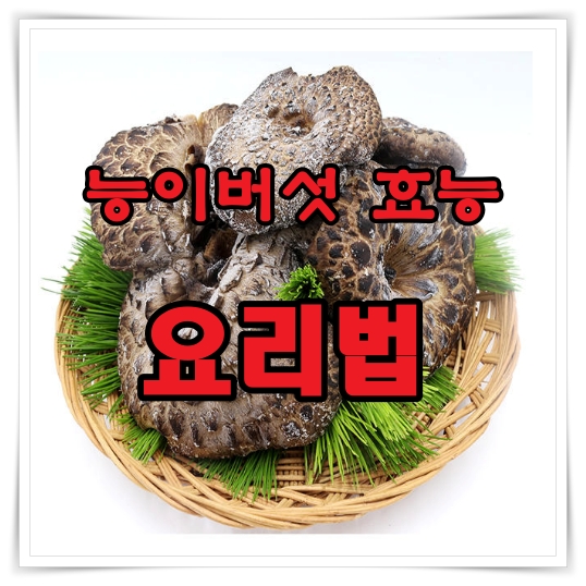 능이버섯 효능 요리법