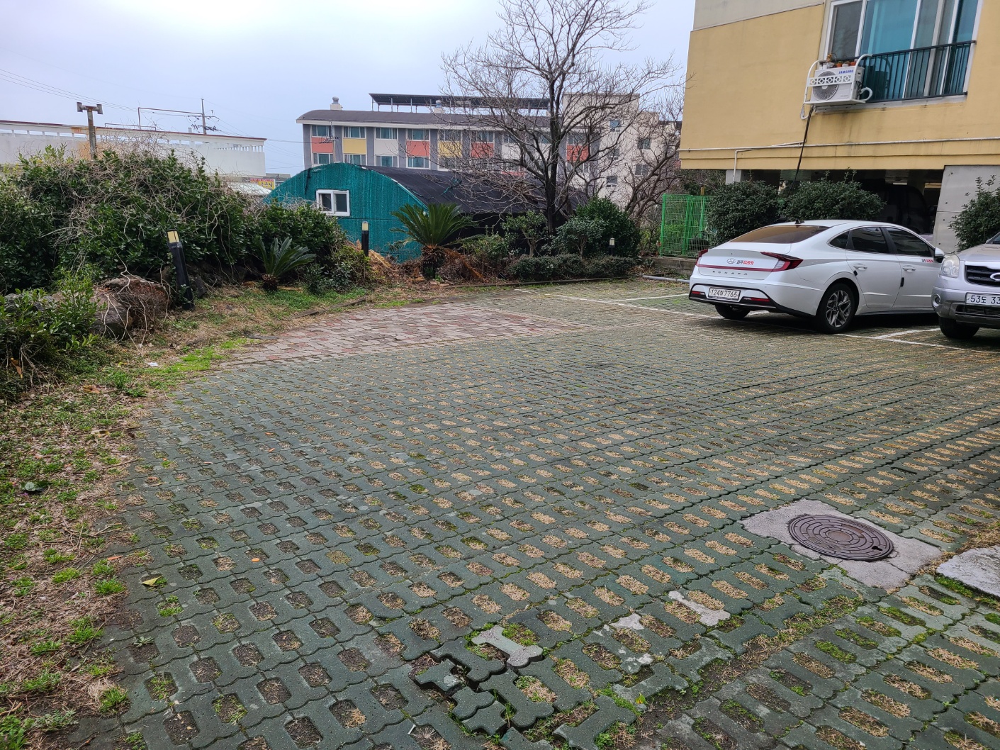 제주도 여행 제주도 맛집 추천