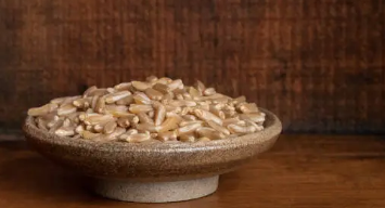 카무트 효소 효능