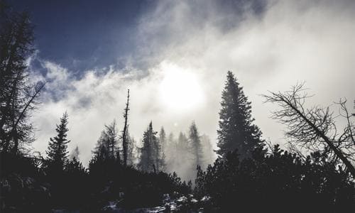 잠들기전 좋은 일과 방해하는 일 쉽게 알 수 없는 A to Z 알아보기