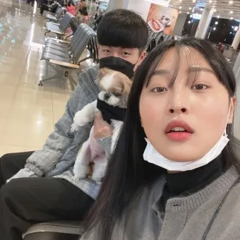 제주 반려견과 함께 가기 좋은 펫프렌들리 숙소 리스트_9