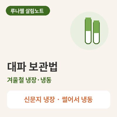 대파 보관법 썸네일
