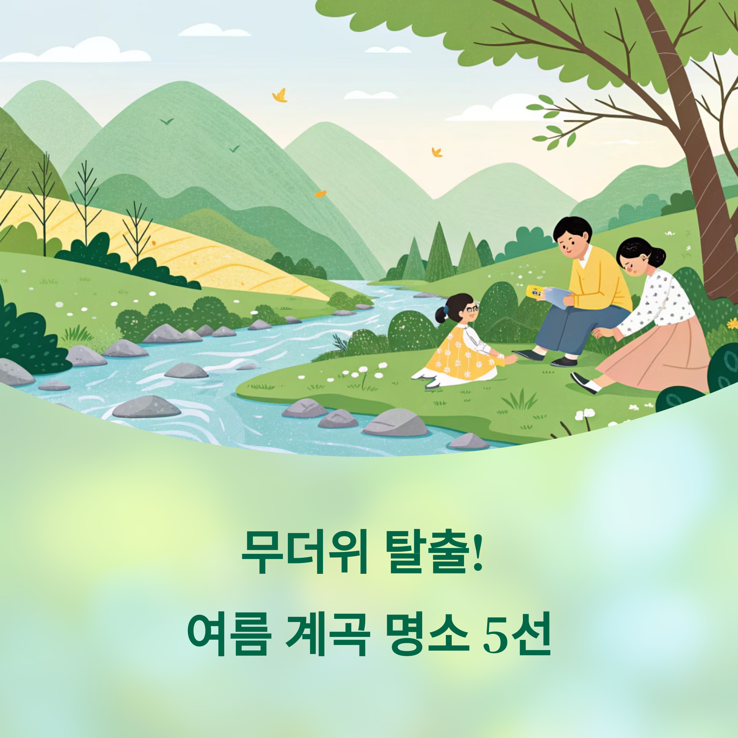 무더위 탈출! 여름 계곡 명소 총정리