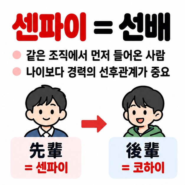 센파이는 같은 조직에서 먼저 들어온 선배를 뜻하고 코하이는 후배라는 관계를 보여주는 카드