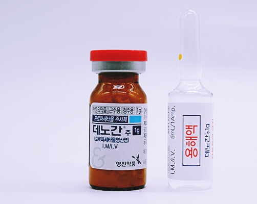 급성 통증 및 발열 치료에 효과적인 데노간주 사용 가이드