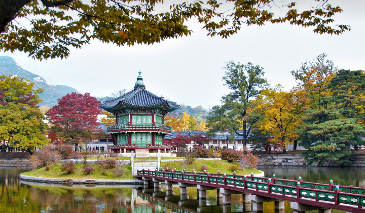 국내 기차여행 코스 비교 (KTX, 관광열차, 슬로우 트레인)