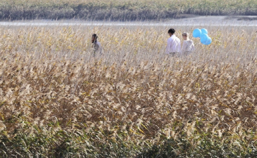 2024 강진만 춤추는 갈대축제 프로그램 일정