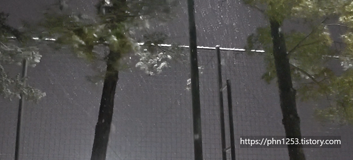 Alt 속성 문제 해결 설명 이미지