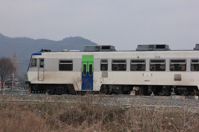 k패스 신청