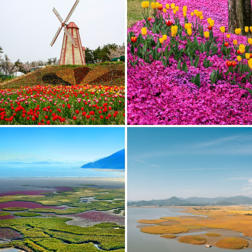 5월 국내 여행지 추천 순천