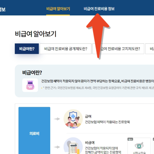 건강보험심사평가원 사이트 내 페이지 이미지