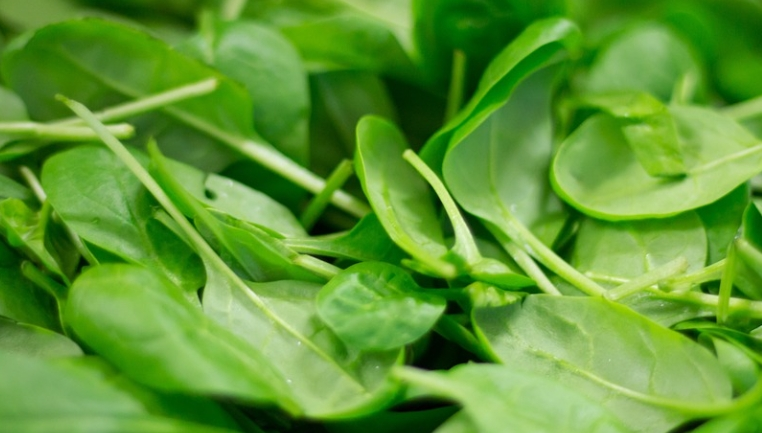 11월에 먹기 좋은 영양소 풍부판 농산물 시금치1