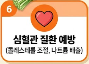 부추 효능