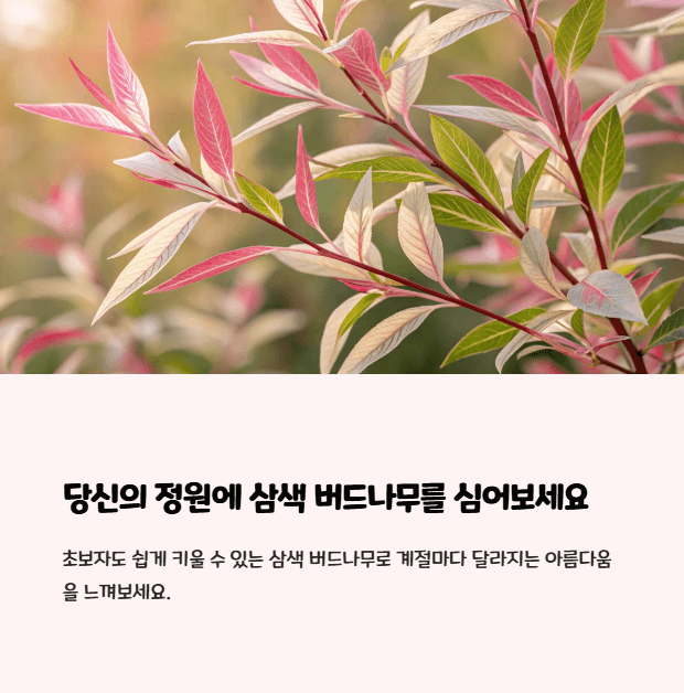 삼색 버드나무
