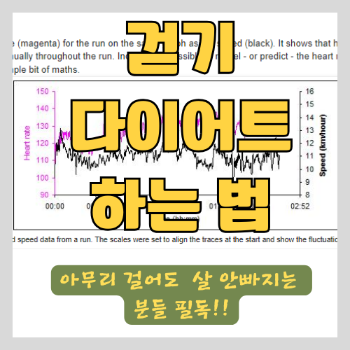 걷기 다이어트 하는 법과 효능 효과 썸네일