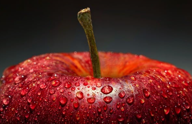 사과 음식 이미지