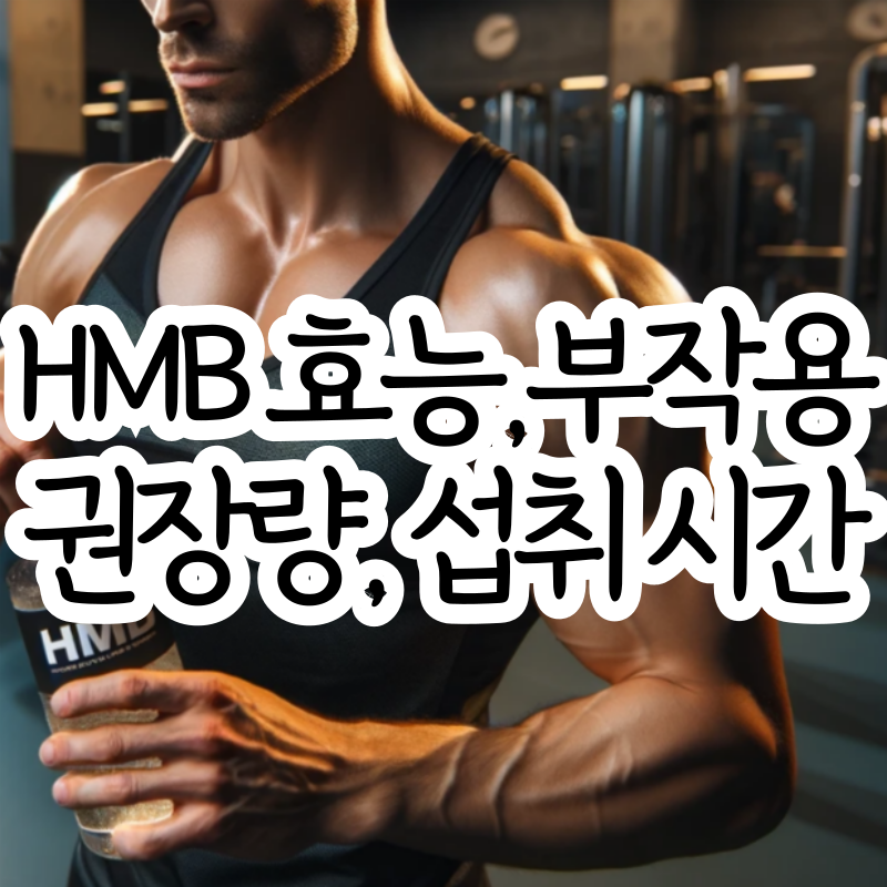HMB 효능 부작용 HMB 권장량 섭취 시간