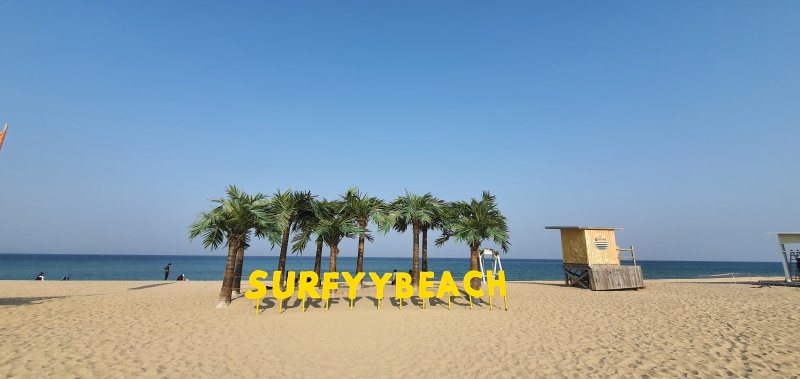 양양 서피비치! 에메랄드빛 바다, 서핑, 비치 파티까지 이국적인 매력