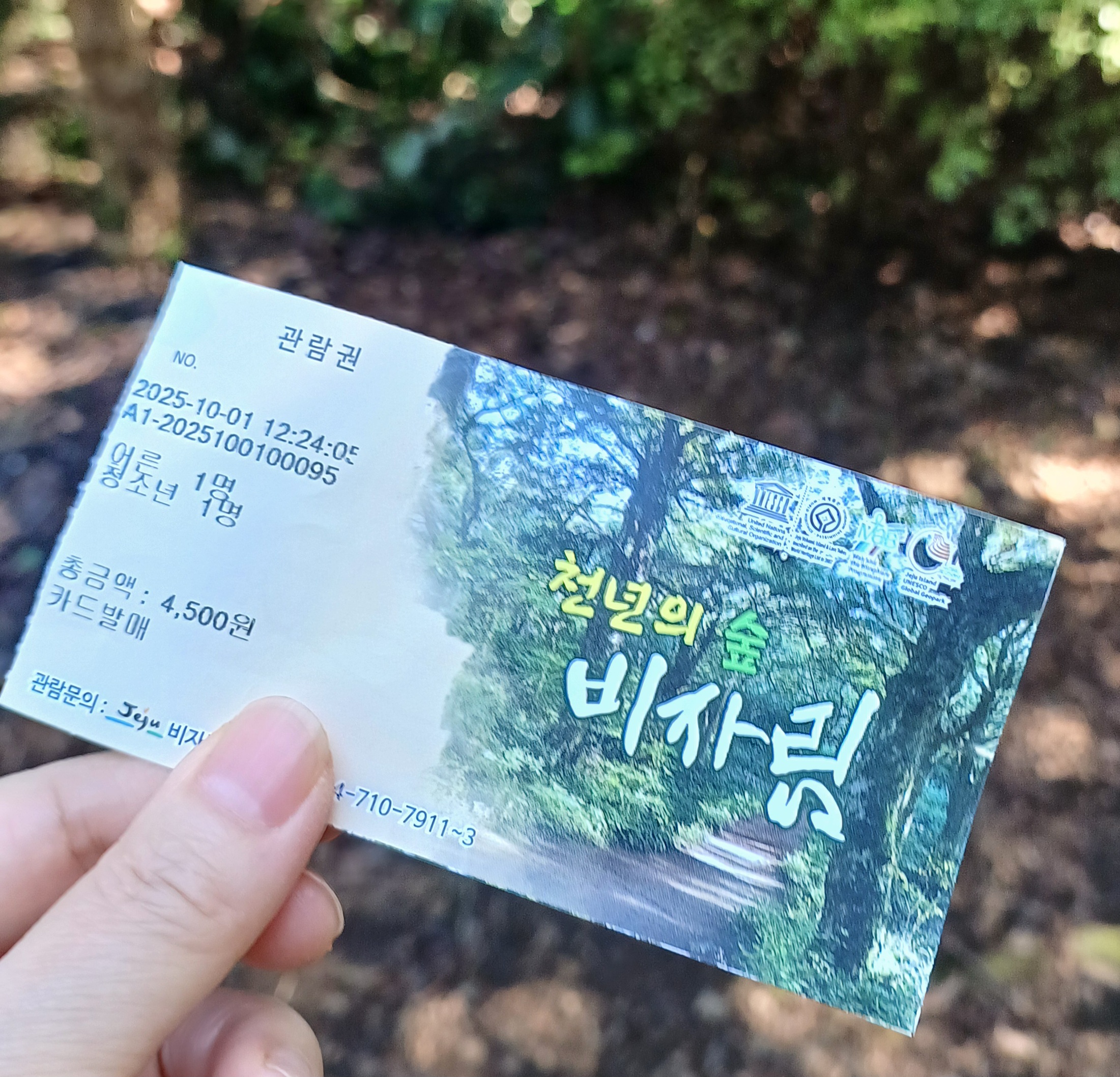 제주-비자림-입장료