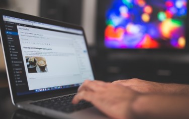 청와대 국민청원홈페이지