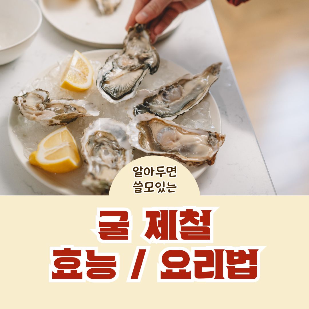 굴 제철시기 굴효능 굴세척방법 굴 요리법