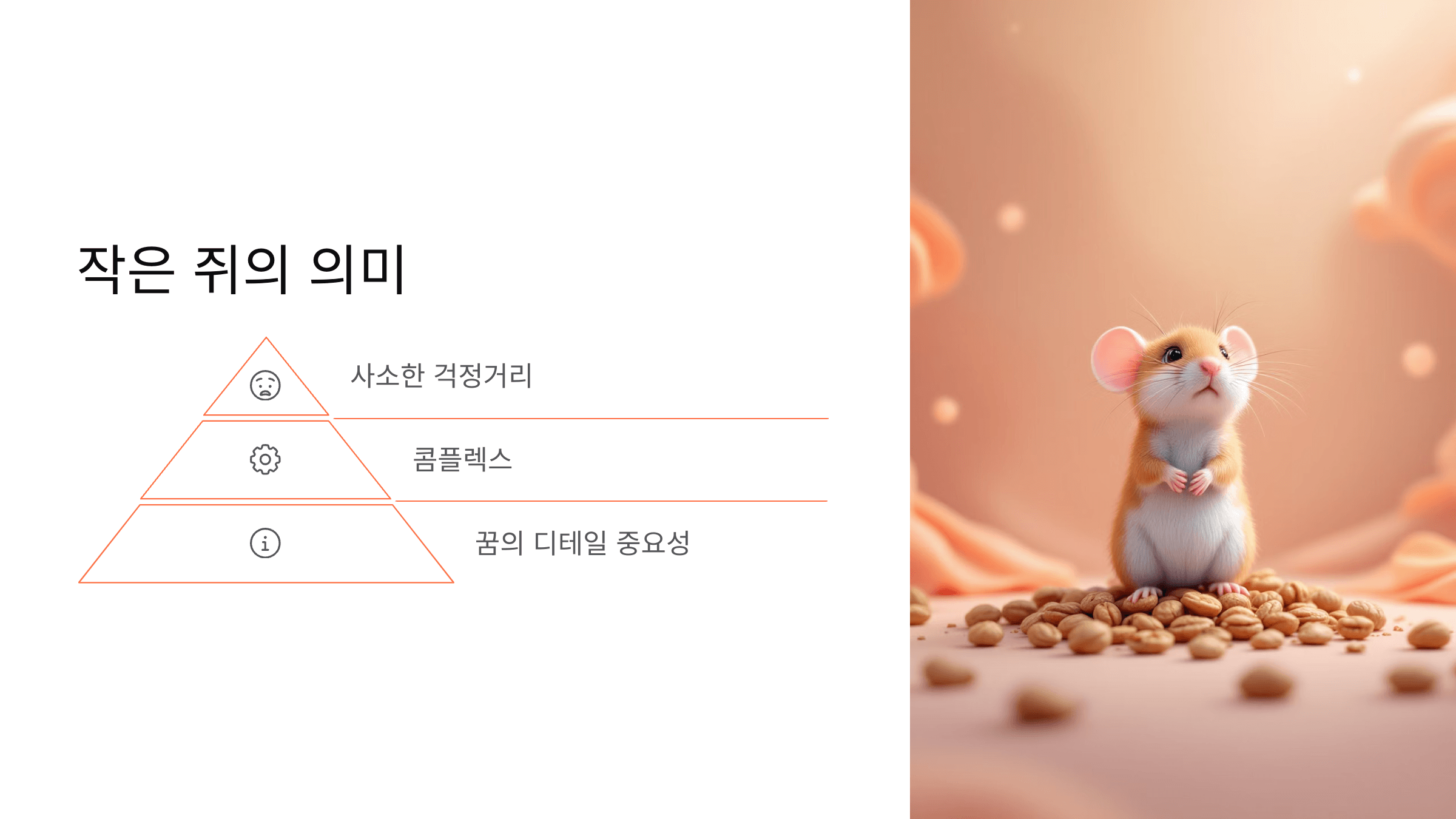 쥐 사진입니다.