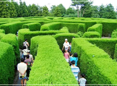 제주-김녕미로공원-입장료-운영-시간