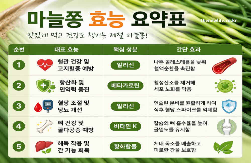 마늘쫑 효능 요약표