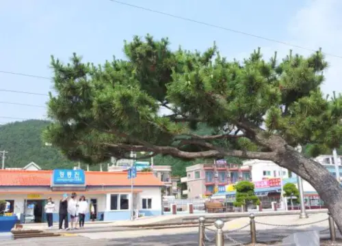 정동진역