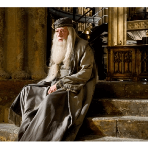 덤블도어 마이클 갬본 사망