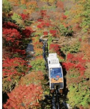 화담숲 예약하기