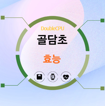 골담초 효능 탐구