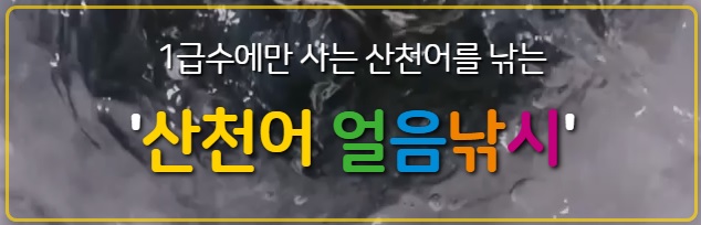 화천 산천어축제 선등거리 점등식