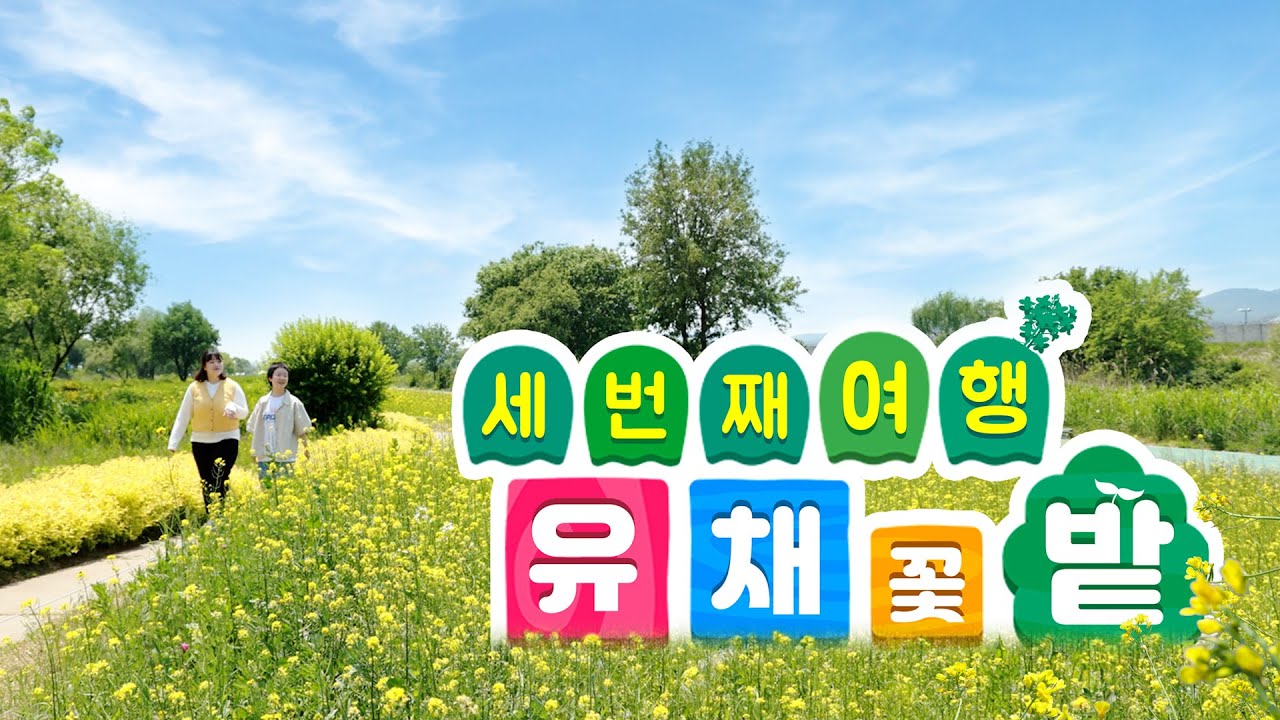 성남 탄천 민물고기습지 생태원 유채꽃 명소 주소 위치 대중교통 주차 날씨 정보